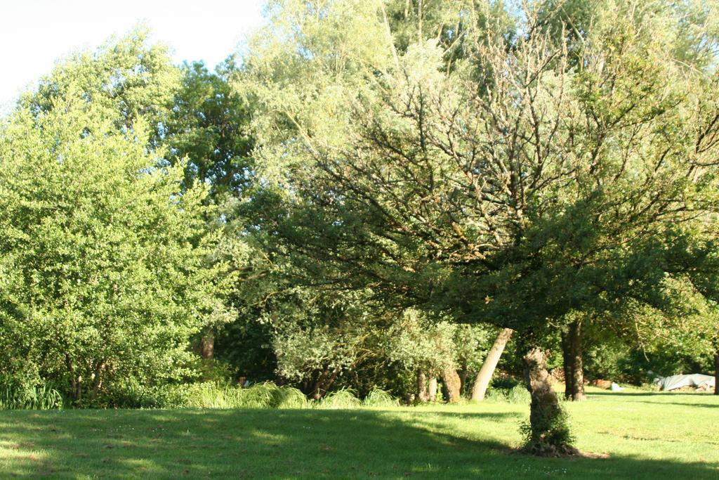 Le Petit Moulin Bed & Breakfast Faverelles Екстериор снимка
