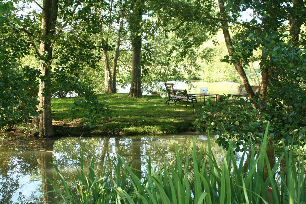 Le Petit Moulin Bed & Breakfast Faverelles Екстериор снимка